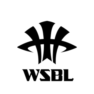 台元纺织女篮VS国泰人寿女篮