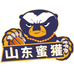 山东蜜獾